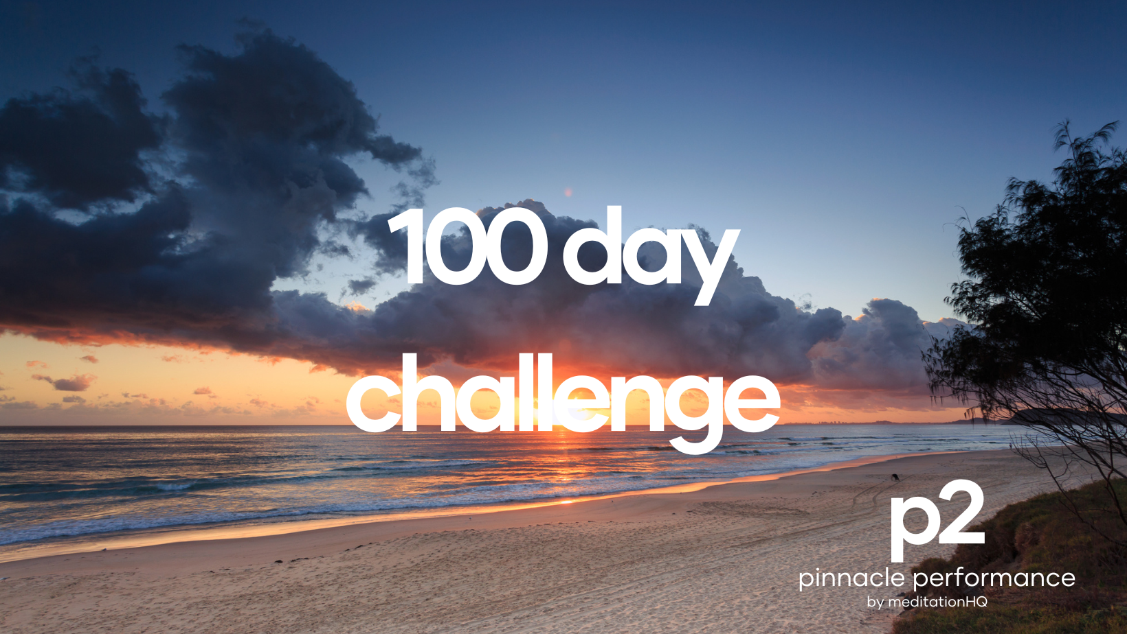 P2 Pinnacle Performance 100 Day Challenge