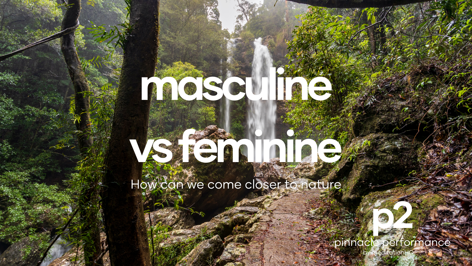 masculine vs feminine