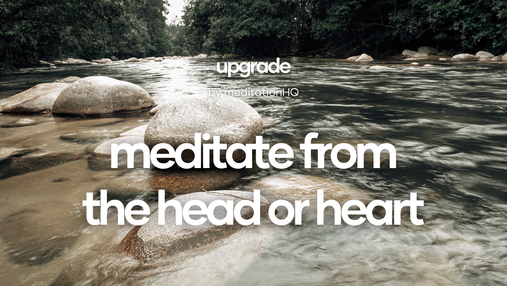 meditate from the head or heart