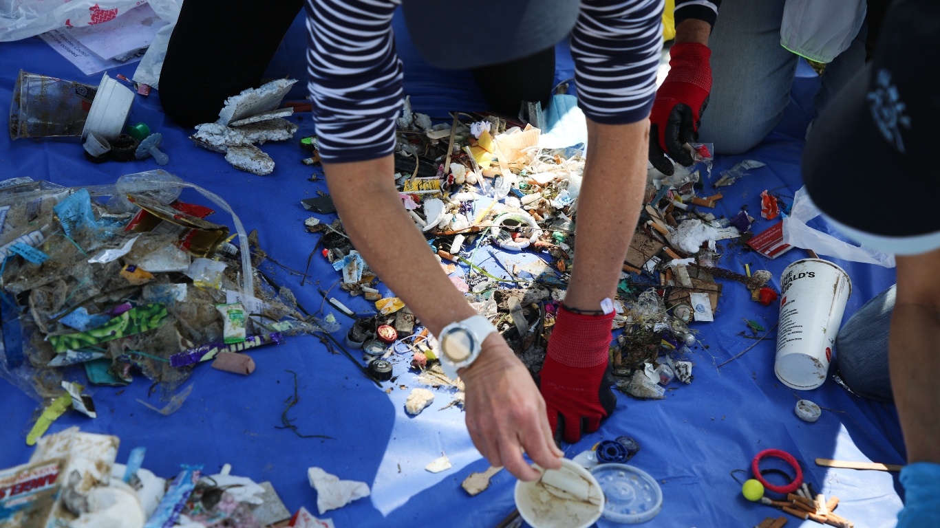 The Silent Killer: Marine Litter's Devastating Impact